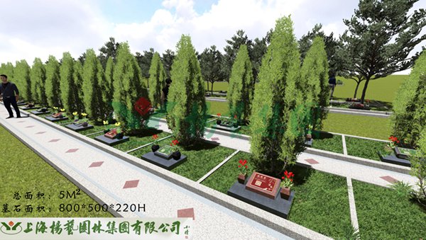 asiagame(中国区)官方网站