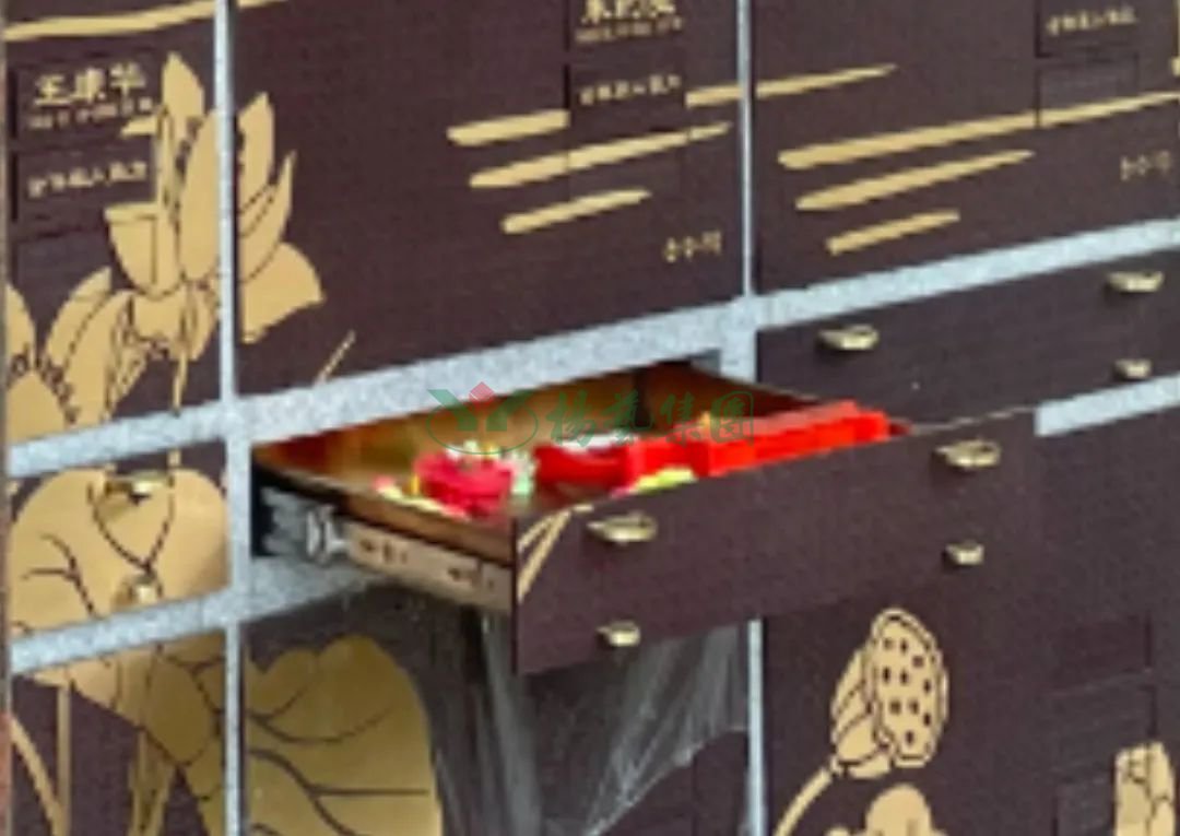 asiagame(中国区)官方网站
