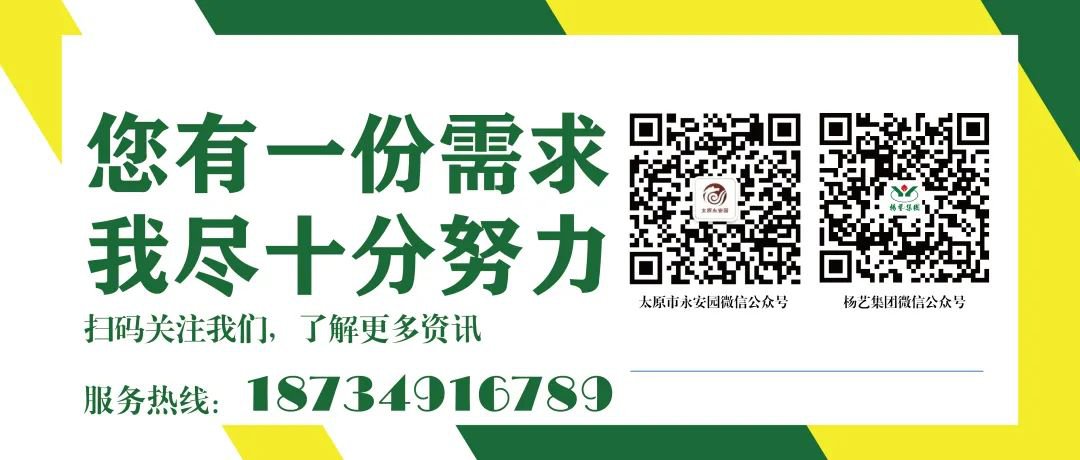 asiagame(中国区)官方网站