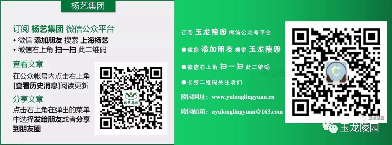 asiagame(中国区)官方网站